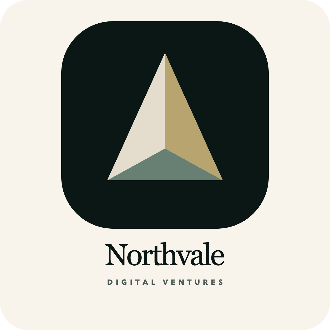 Northvale Digital Ventures logo